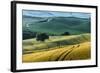 Italian Hills-Nancy Crowell-Framed Photographic Print