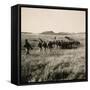 Italian Infantry Unit on Mekele Plain-null-Framed Stretched Canvas