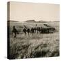 Italian Infantry Unit on Mekele Plain-null-Stretched Canvas