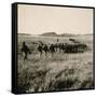 Italian Infantry Unit on Mekele Plain-null-Framed Stretched Canvas