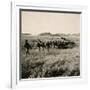 Italian Infantry Unit on Mekele Plain-null-Framed Giclee Print