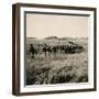 Italian Infantry Unit on Mekele Plain-null-Framed Giclee Print