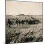 Italian Infantry Unit on Mekele Plain-null-Mounted Giclee Print