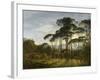 Italian Landscape with Umbrella Pines, 1805-Hendrik Voogd-Framed Art Print