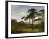 Italian Landscape with Umbrella Pines, 1805-Hendrik Voogd-Framed Art Print