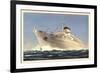 Italian Line, M.N. Giulio Cesare, Dampfschiff-null-Framed Giclee Print