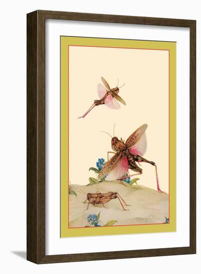 Italian Locusts-Edward Detmold-Framed Art Print