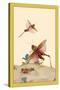 Italian Locusts-Edward Detmold-Stretched Canvas