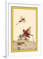 Italian Locusts-Edward Detmold-Framed Art Print