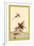 Italian Locusts-Edward Detmold-Framed Art Print