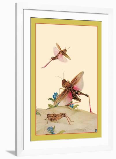 Italian Locusts-Edward Detmold-Framed Art Print