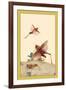 Italian Locusts-Edward Detmold-Framed Art Print