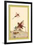 Italian Locusts-Edward Detmold-Framed Art Print