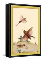 Italian Locusts-Edward Detmold-Framed Stretched Canvas