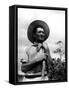 Italian Man Working in the Field, Cleaning the Coffee Trees-John Phillips-Framed Stretched Canvas