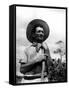Italian Man Working in the Field, Cleaning the Coffee Trees-John Phillips-Framed Stretched Canvas