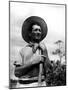 Italian Man Working in the Field, Cleaning the Coffee Trees-John Phillips-Mounted Photographic Print