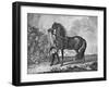 Italian Neapolitan Horse, 1722-null-Framed Giclee Print