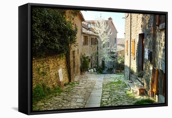 Italian Old Street . Tuscany-ZoomTeam-Framed Stretched Canvas