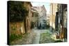 Italian Old Street . Tuscany-ZoomTeam-Stretched Canvas