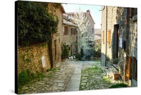 Italian Old Street . Tuscany-ZoomTeam-Stretched Canvas