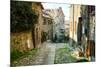 Italian Old Street . Tuscany-ZoomTeam-Mounted Photographic Print