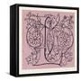 Italian Ornament-null-Framed Stretched Canvas