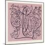 Italian Ornament-null-Mounted Giclee Print