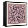 Italian Ornament-null-Framed Stretched Canvas