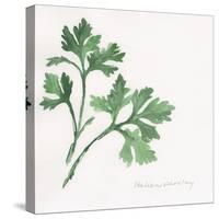 Italian Parsley-Chris Paschke-Stretched Canvas