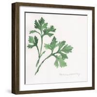 Italian Parsley-Chris Paschke-Framed Art Print