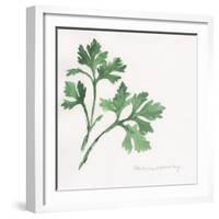 Italian Parsley-Chris Paschke-Framed Art Print