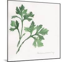 Italian Parsley-Chris Paschke-Mounted Art Print