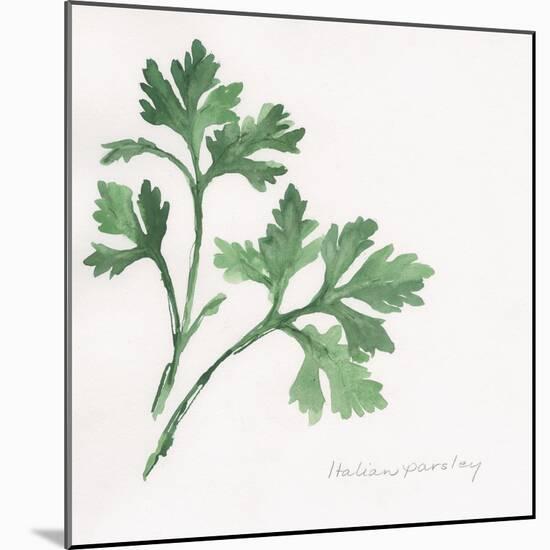 Italian Parsley-Chris Paschke-Mounted Art Print