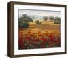 Italian Poppy Vista I-Ahn Seung Koo-Framed Art Print