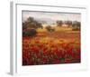 Italian Poppy Vista I-Ahn Seung Koo-Framed Art Print