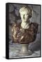 Italian Sculpted Statuary and Breccia Marble Bust of Caesar Augustus, 19th Century-null-Framed Stretched Canvas