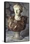 Italian Sculpted Statuary and Breccia Marble Bust of Caesar Augustus, 19th Century-null-Framed Stretched Canvas