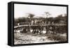 Italian Soldiers on a Bridge over the River Mareb in 1897-null-Framed Stretched Canvas