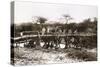 Italian Soldiers on a Bridge over the River Mareb in 1897-null-Stretched Canvas
