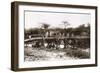 Italian Soldiers on a Bridge over the River Mareb in 1897-null-Framed Giclee Print