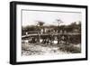 Italian Soldiers on a Bridge over the River Mareb in 1897-null-Framed Giclee Print