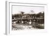 Italian Soldiers on a Bridge over the River Mareb in 1897-null-Framed Giclee Print