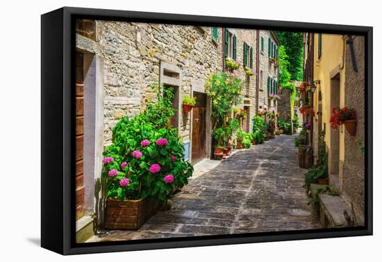 Italian Street in A Small Provincial Town of Tuscan-Alan64-Framed Stretched Canvas