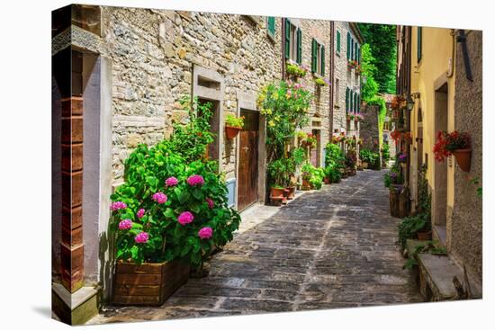 Italian Street in A Small Provincial Town of Tuscan-Alan64-Stretched Canvas