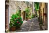 Italian Street in A Small Provincial Town of Tuscan-Alan64-Stretched Canvas