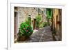 Italian Street in A Small Provincial Town of Tuscan-Alan64-Framed Photographic Print