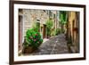 Italian Street in A Small Provincial Town of Tuscan-Alan64-Framed Photographic Print