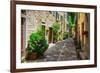 Italian Street in A Small Provincial Town of Tuscan-Alan64-Framed Photographic Print