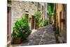 Italian Street in A Small Provincial Town of Tuscan-Alan64-Mounted Photographic Print